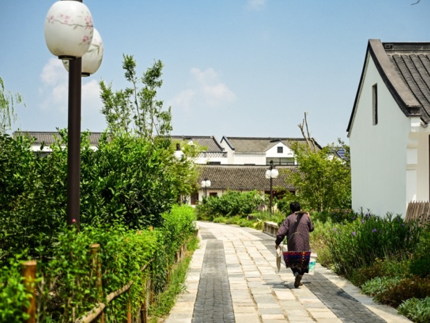 房屋异响 母女俩怀疑住进“凶宅”,电梯震动声音大怎么办?